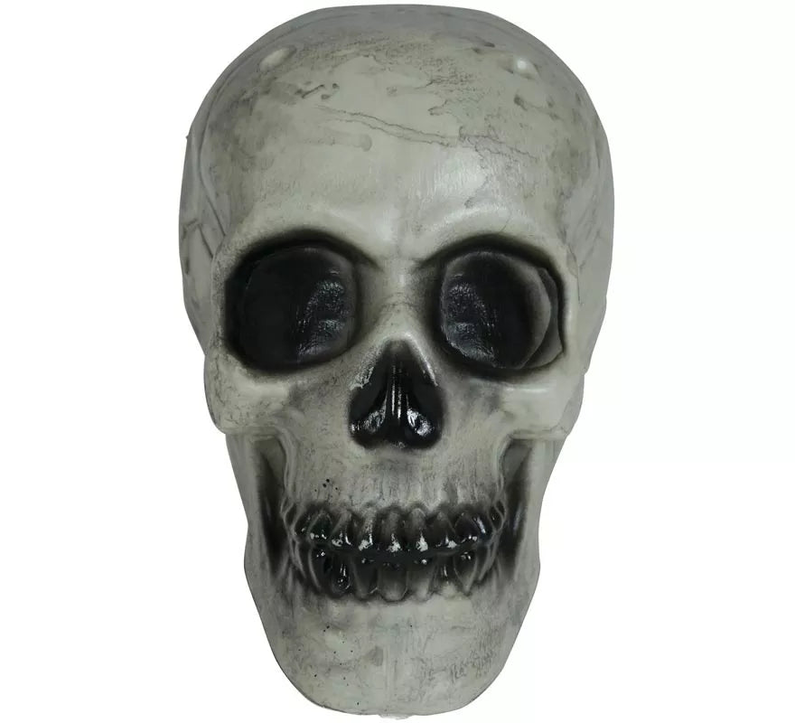 Calavera 20 cm