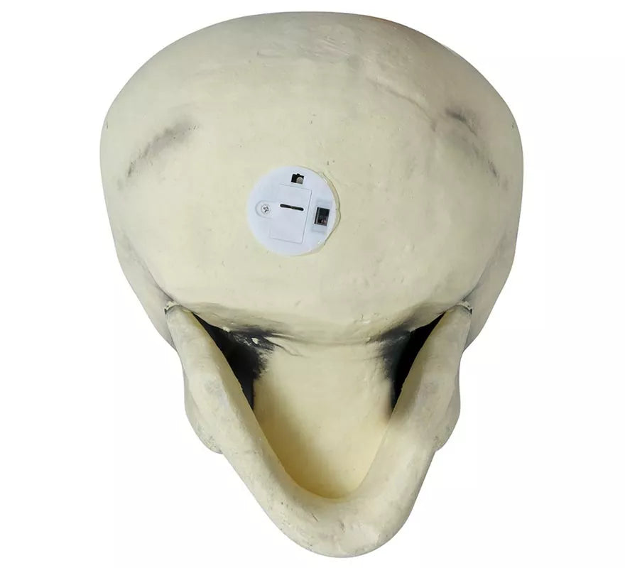 Translation missing: de.Calavera 32 cm de Foam