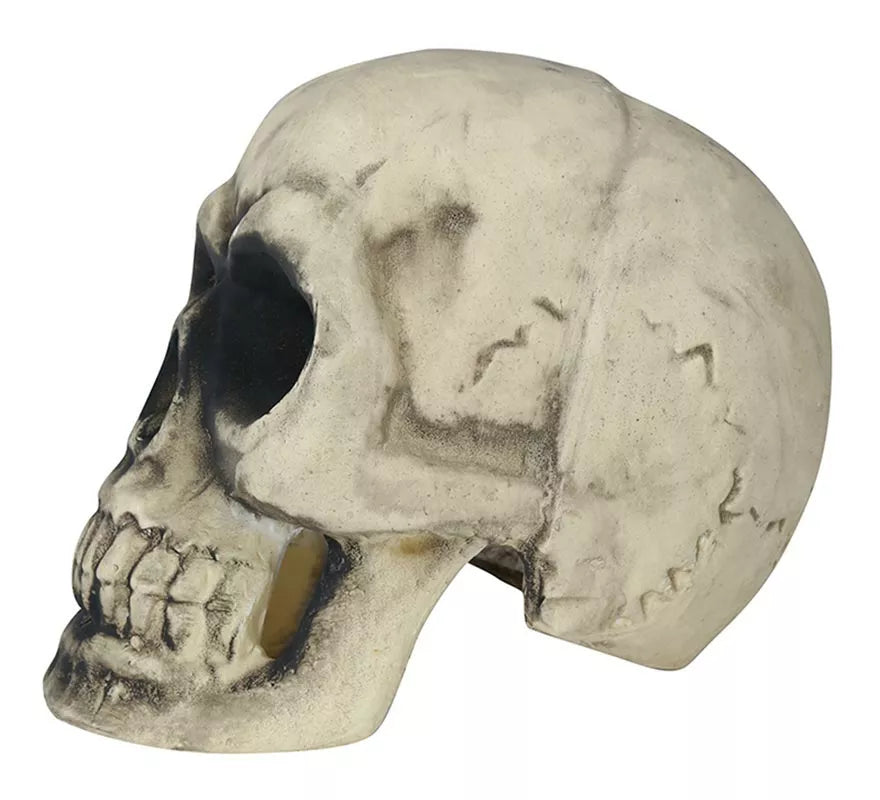 Calavera 32 cm de Foam