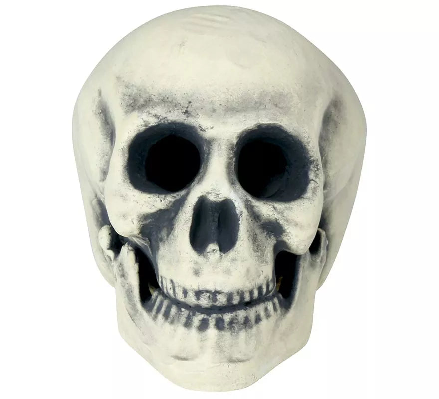 Translation missing: de.Calavera 32 cm de Foam