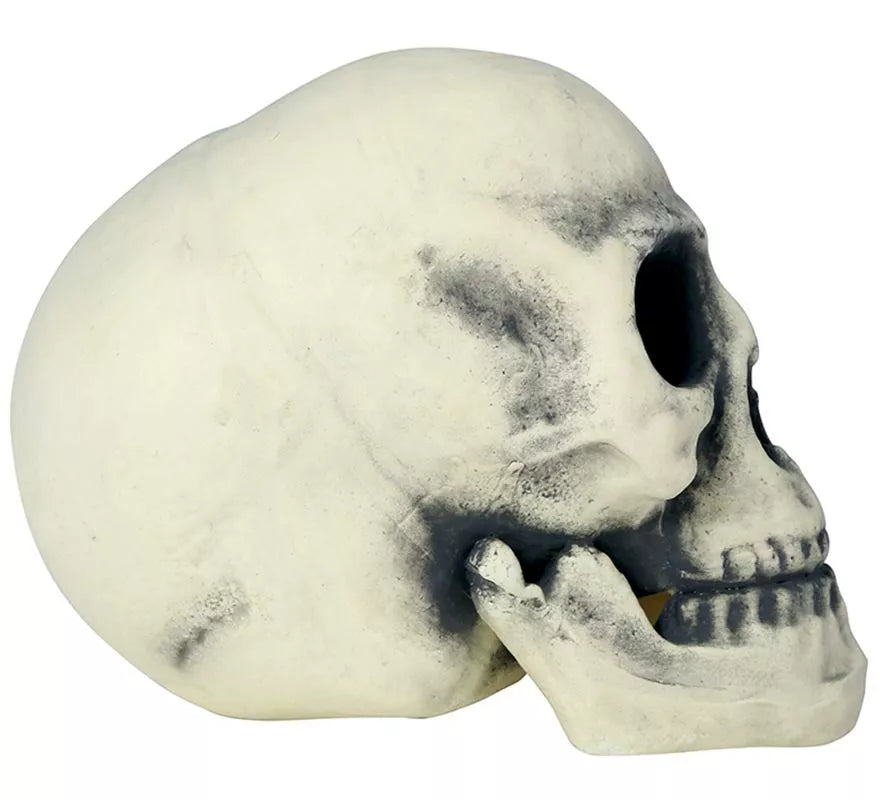 Translation missing: de.Calavera 32 cm de Foam