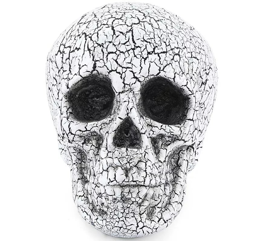 Translation missing: de.Calavera Agrietado de 20x15 cm