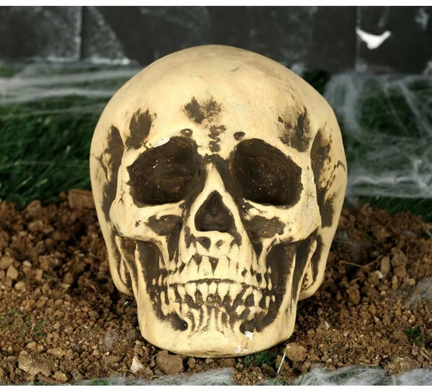 Translation missing: de.Calavera Amarillenta 17 cm