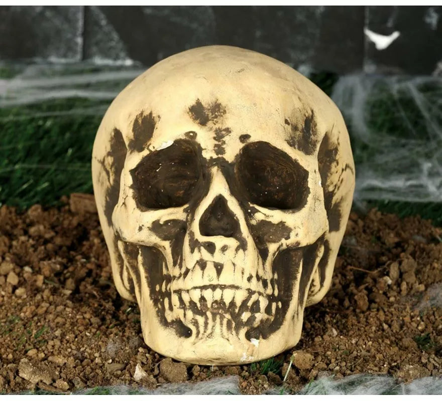 Translation missing: de.Calavera Amarillenta 17 cm