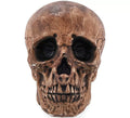 Calavera Bronce de 16 cm