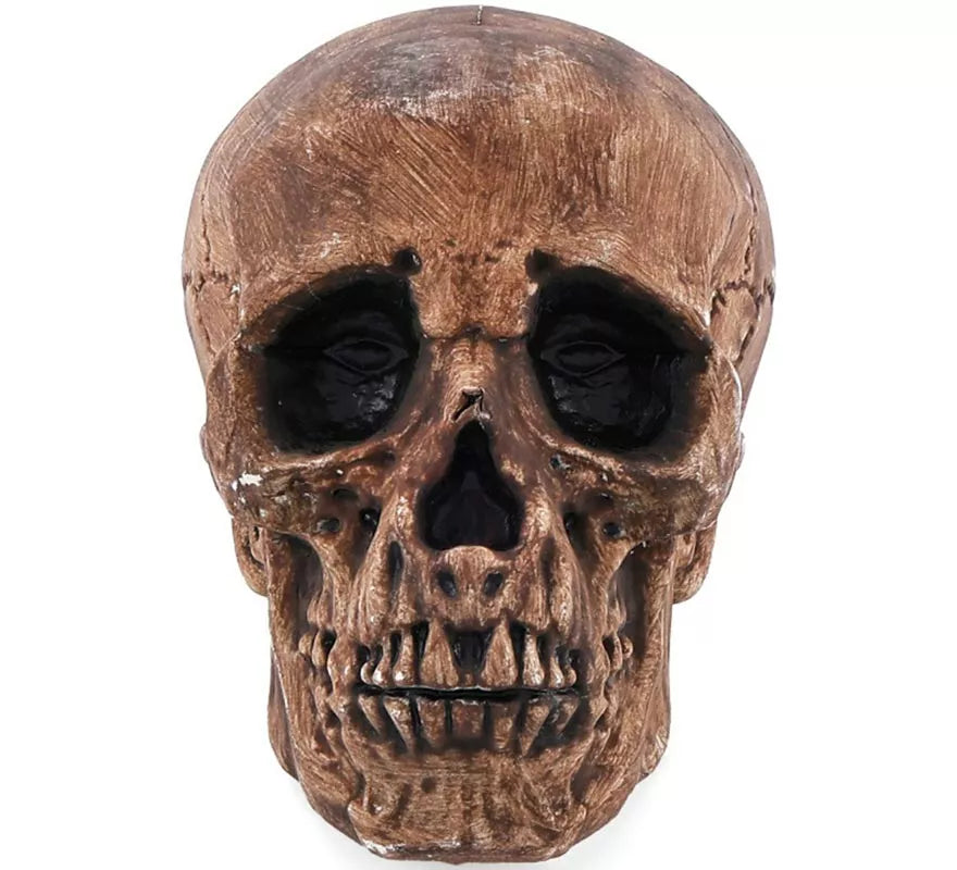 Translation missing: de.Calavera Bronce de 16 cm