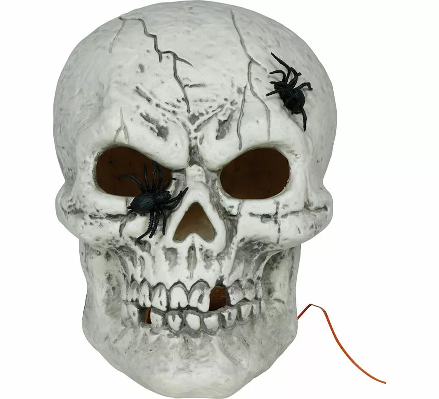Translation missing: de.Calavera con Arañas con Luz de 35 cm