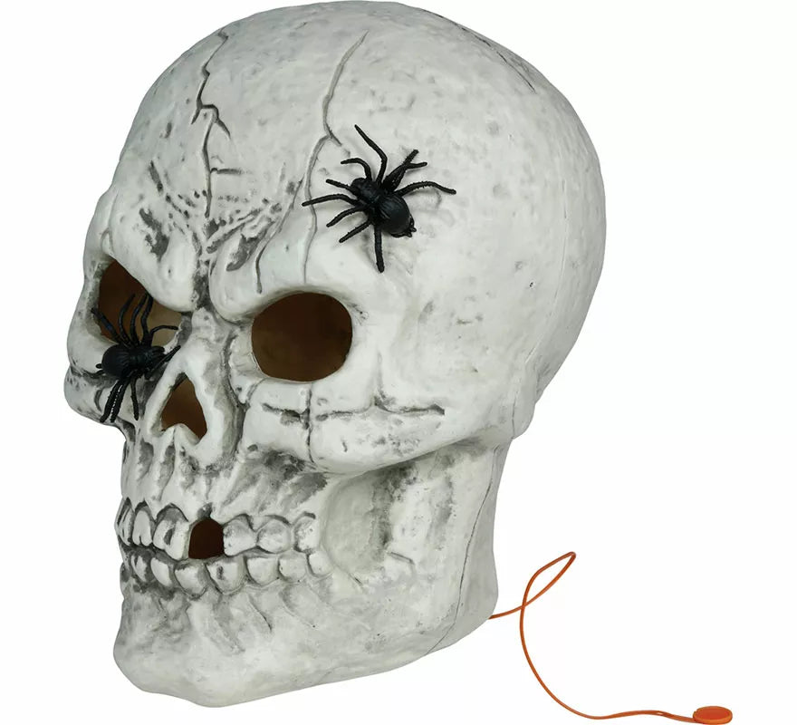 Translation missing: de.Calavera con Arañas con Luz de 35 cm