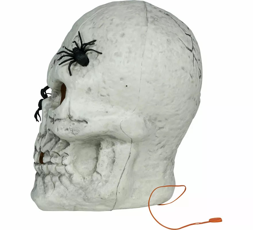 Translation missing: de.Calavera con Arañas con Luz de 35 cm