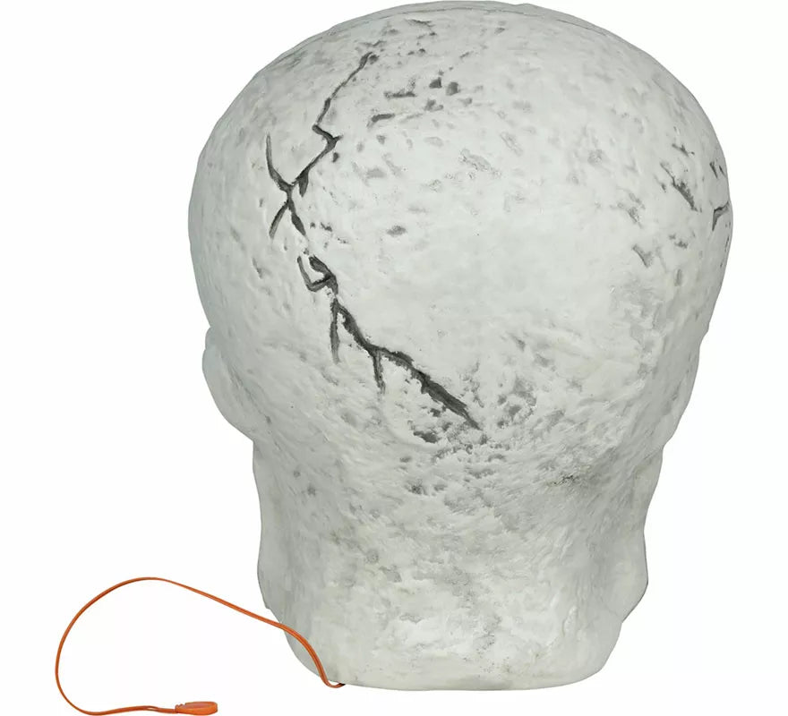 Calavera con Arañas con Luz de 35 cm