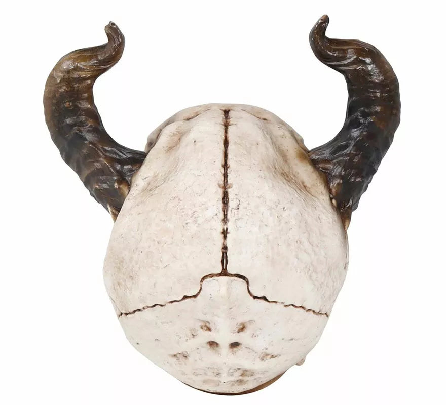 Translation missing: de.Calavera con Cuernos de 20 cm