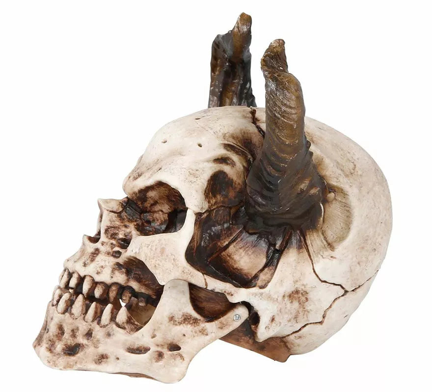 Translation missing: de.Calavera con Cuernos de 20 cm