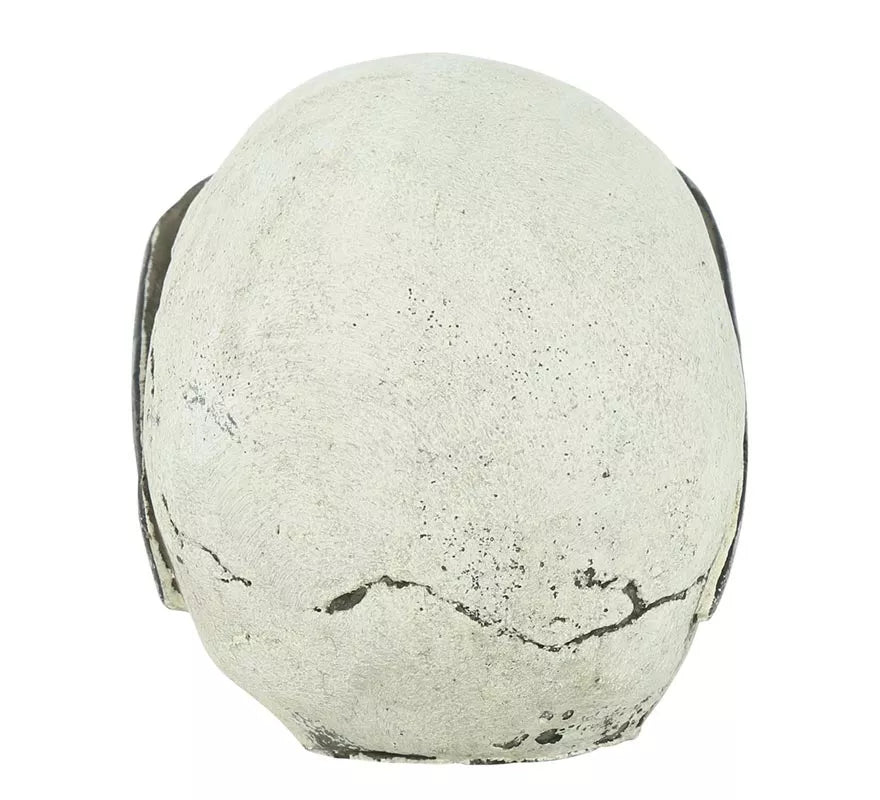 Translation missing: de.Calavera con Gafas Resina 11 cm