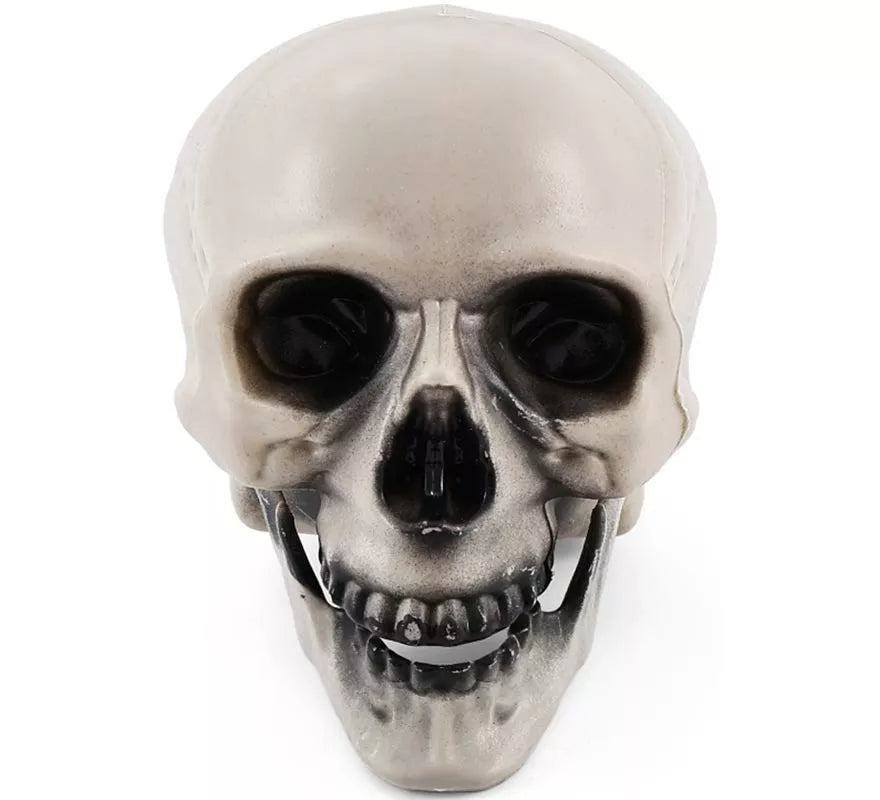 Translation missing: de.Calavera con Mandíbula con Movimiento