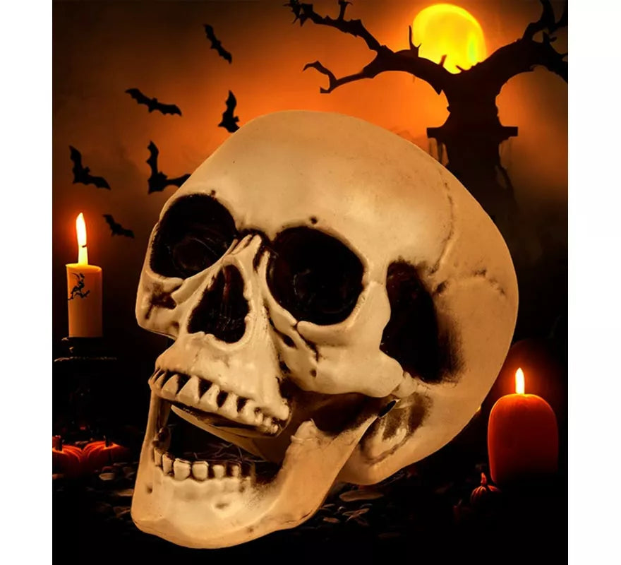 Cráneo o Calavera con Mandíbula Móvil de 12 cm