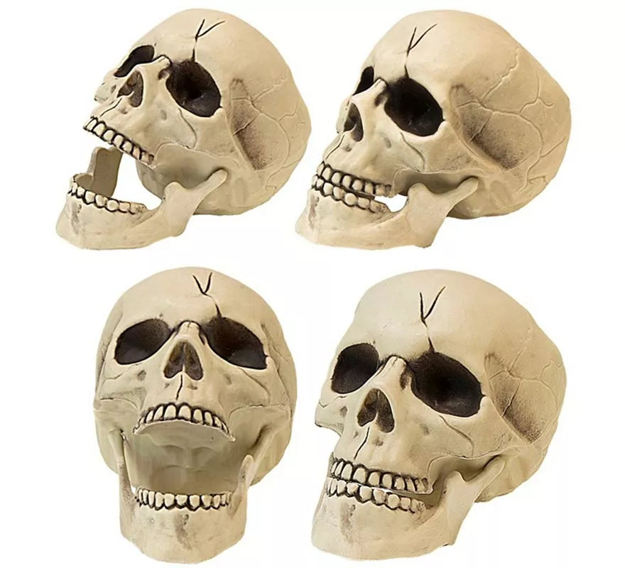 Translation missing: de.Calavera con Mandíbula y Movimiento de Plástico de 21 cm