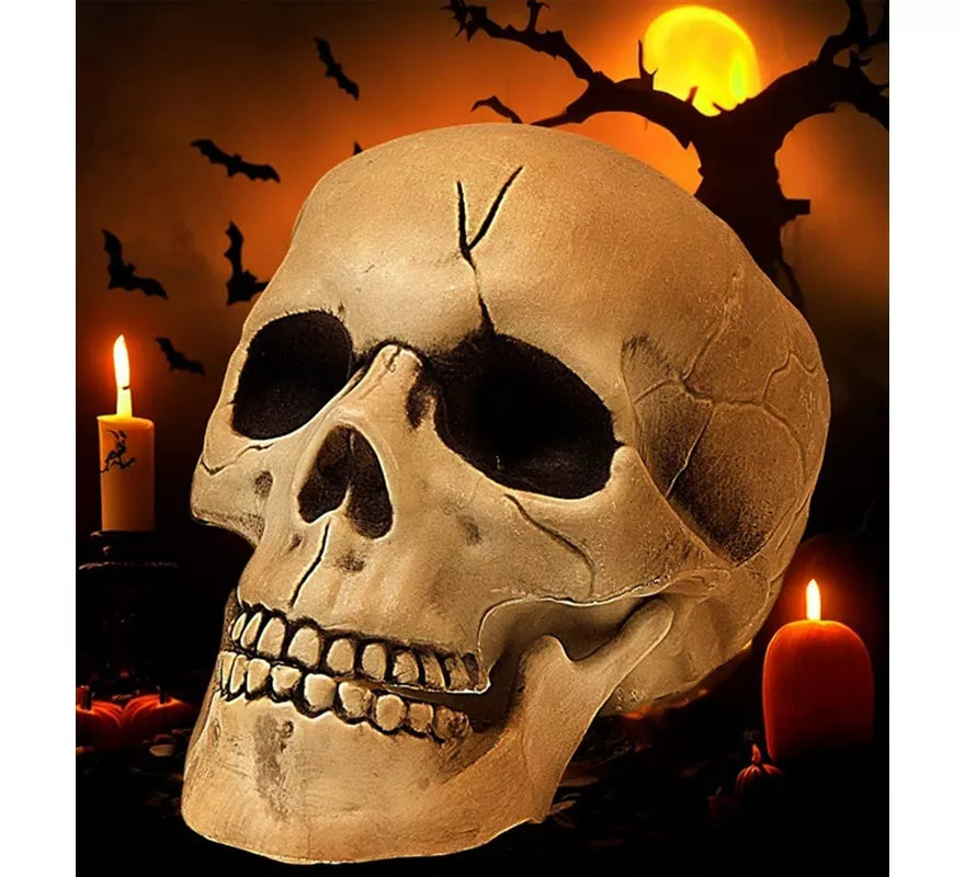Translation missing: de.Calavera con Mandíbula y Movimiento de Plástico de 21 cm