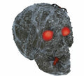 Calavera con Telarañas y Luz de 20 cm