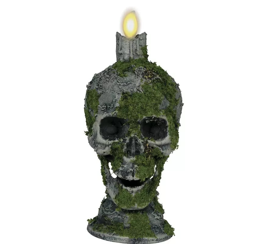 Translation missing: de.Calavera con Vela y Musgo con Luz de 35 cm