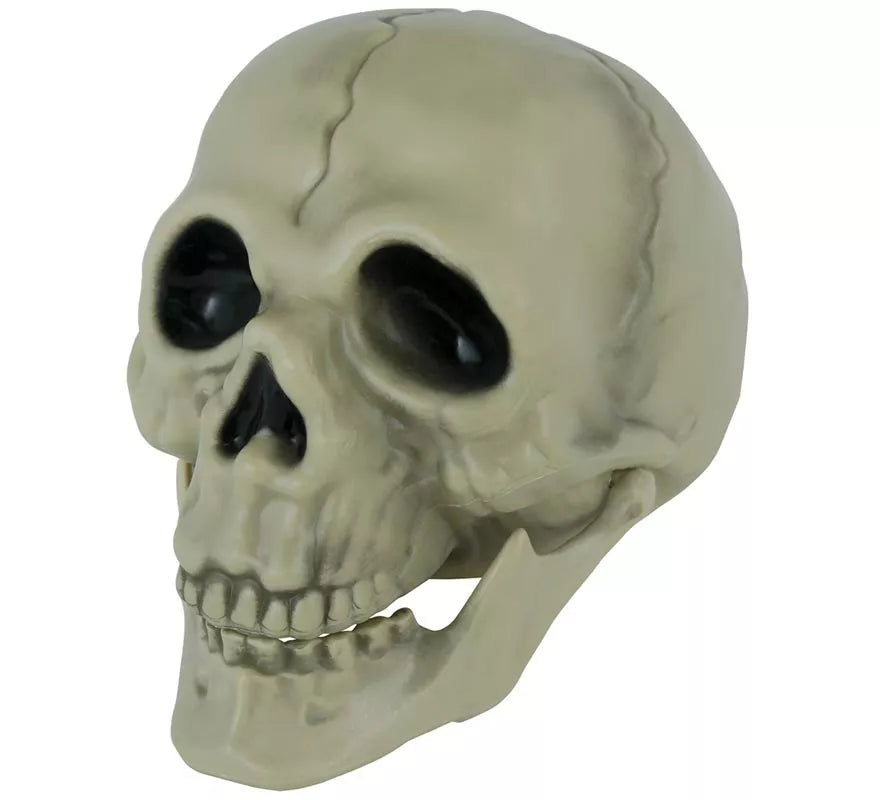 Translation missing: de.Calavera de 13 cm