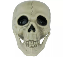 13cm Totenkopf