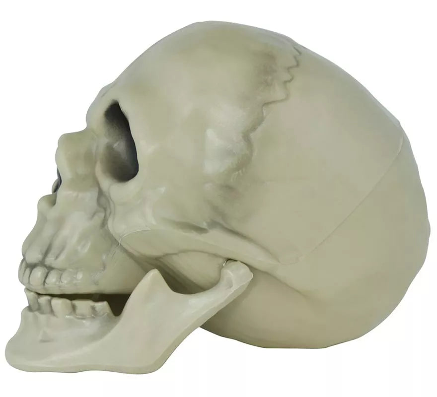 Translation missing: de.Calavera de 13 cm