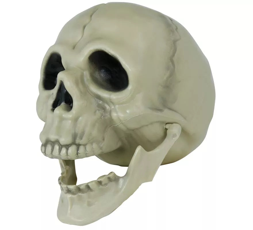Translation missing: de.Calavera de 13 cm