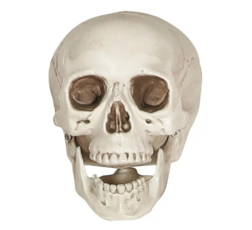 Calavera de 20 cm