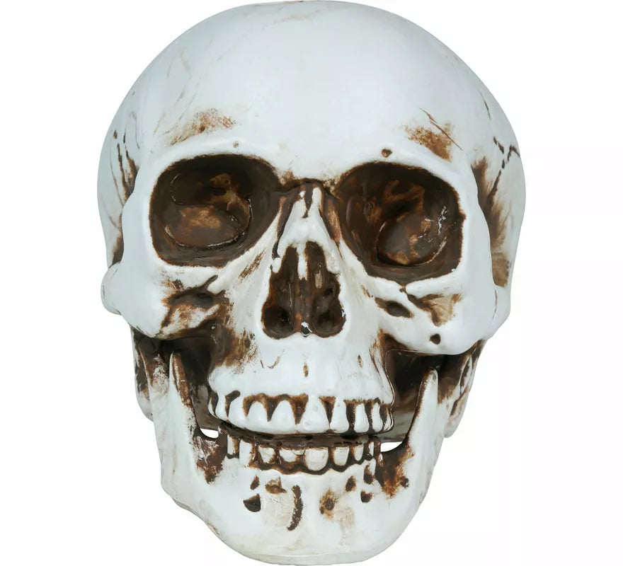 Translation missing: de.Calavera de 22 cm