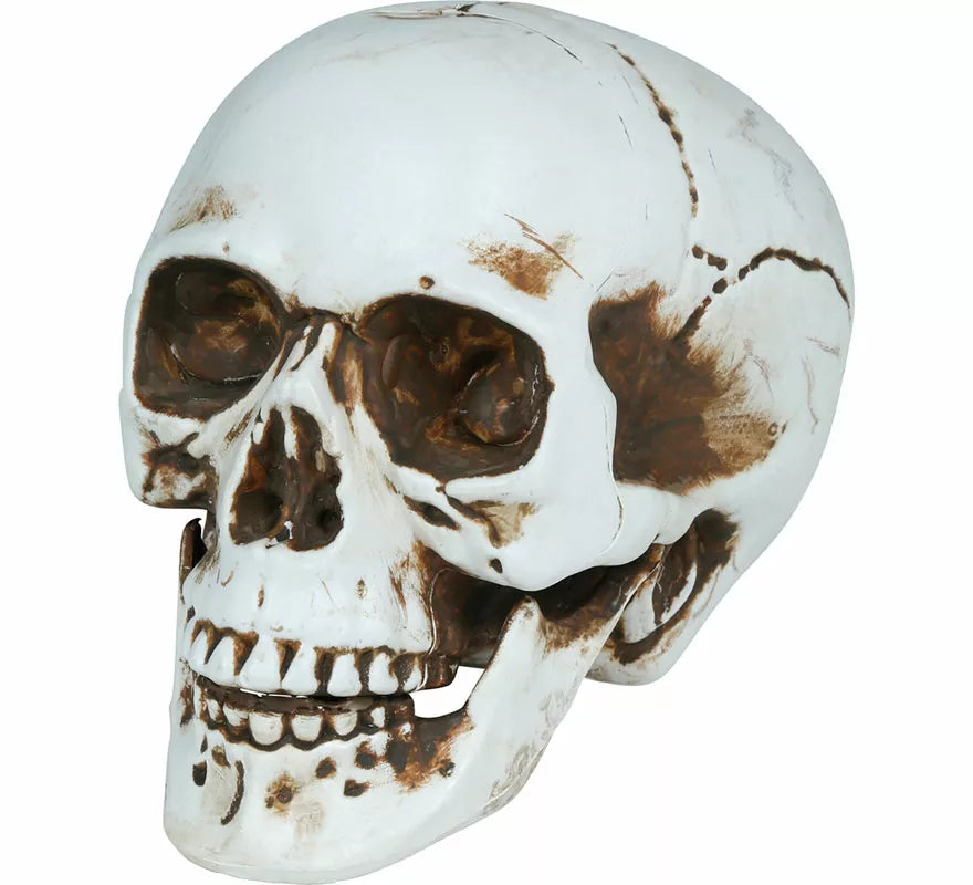 Translation missing: de.Calavera de 22 cm