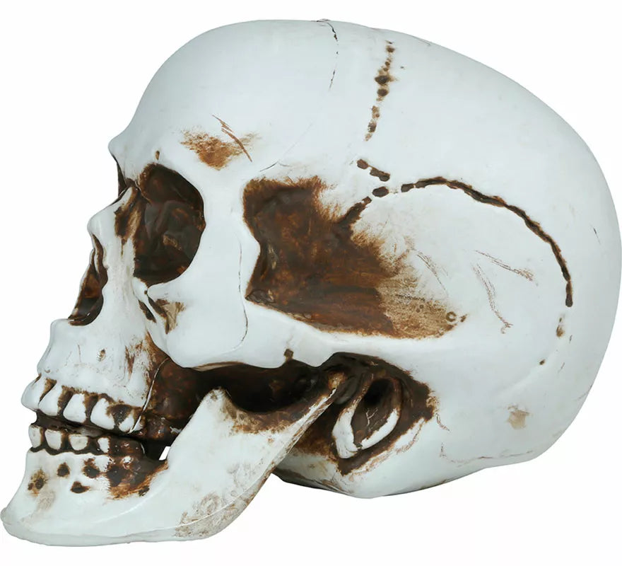 Calavera de 22 cm