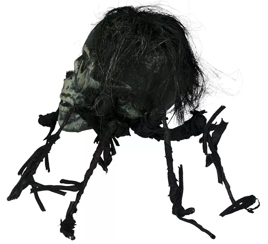 Translation missing: de.Calavera de Araña de 38 cm