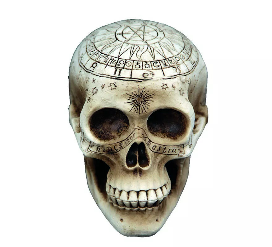 Translation missing: de.Calavera de Brujería con detalles de 20X14 cm