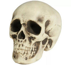 Schaumstoffschädel 20 cm