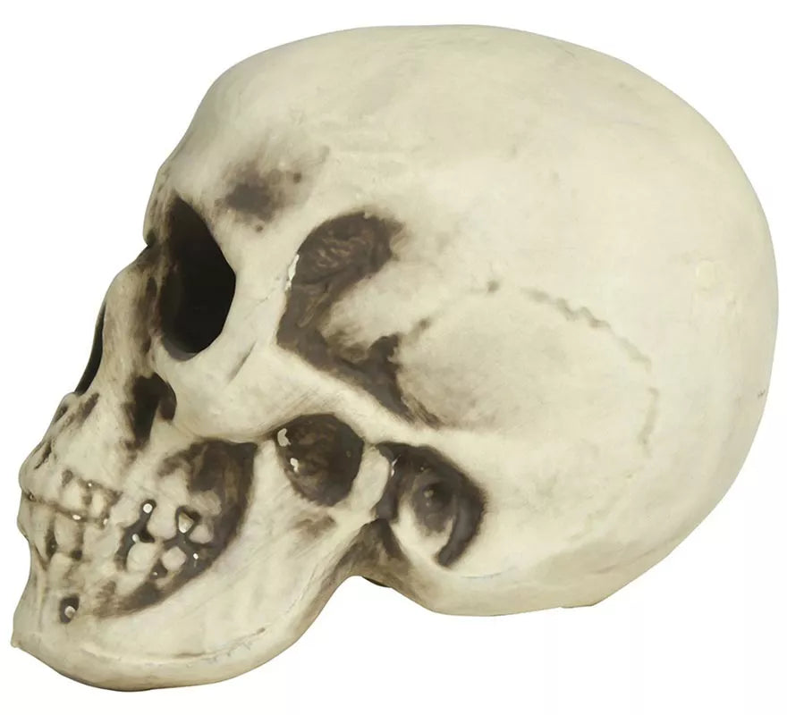 Translation missing: de.Calavera de Foam 20 cm