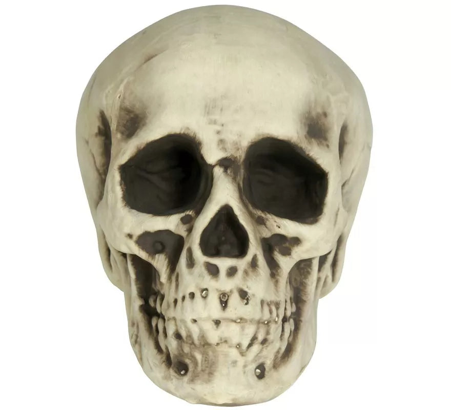 Translation missing: de.Calavera de Foam 20 cm