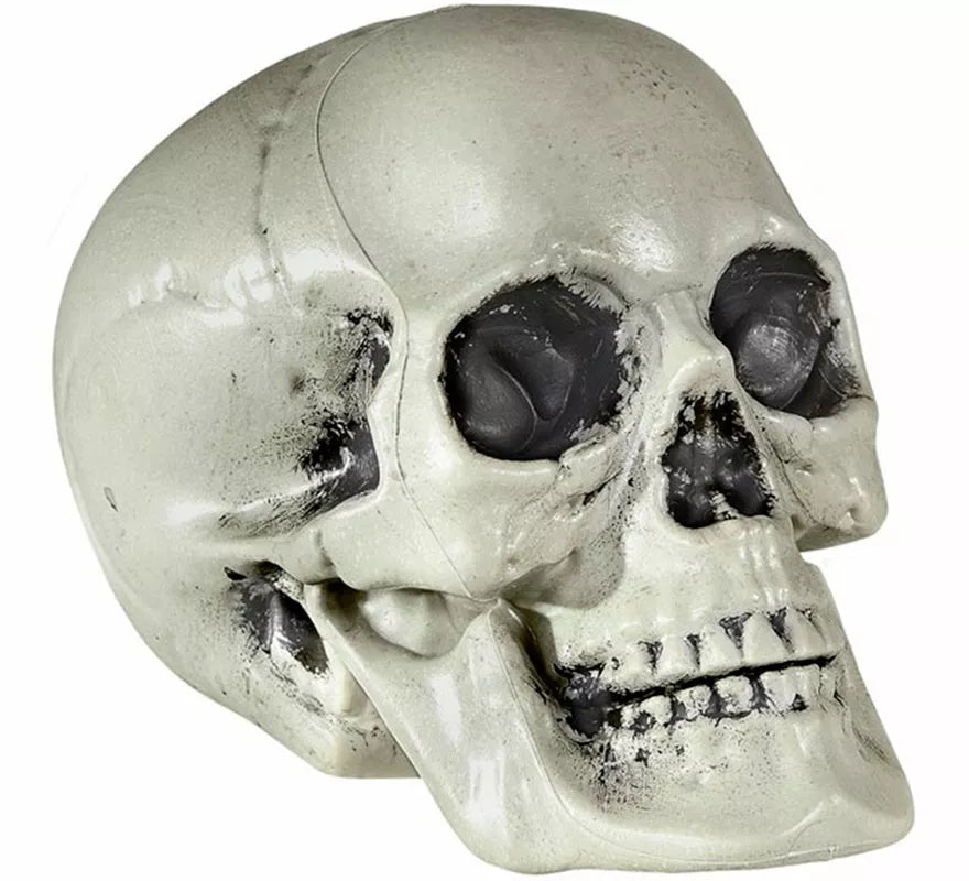 Translation missing: de.Calavera de PVC de 21 cm