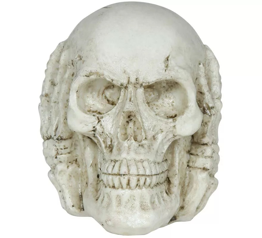 Translation missing: de.Calavera de Resina de 6 cm