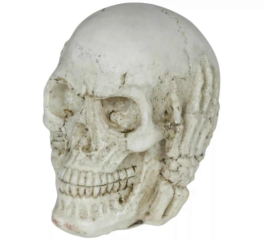 Translation missing: de.Calavera de Resina de 6 cm