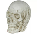 Calavera de Resina de 6 cm