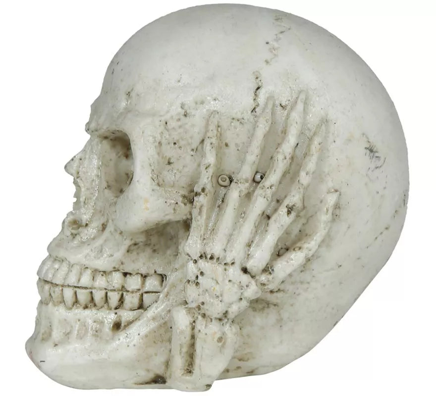 Translation missing: de.Calavera de Resina de 6 cm