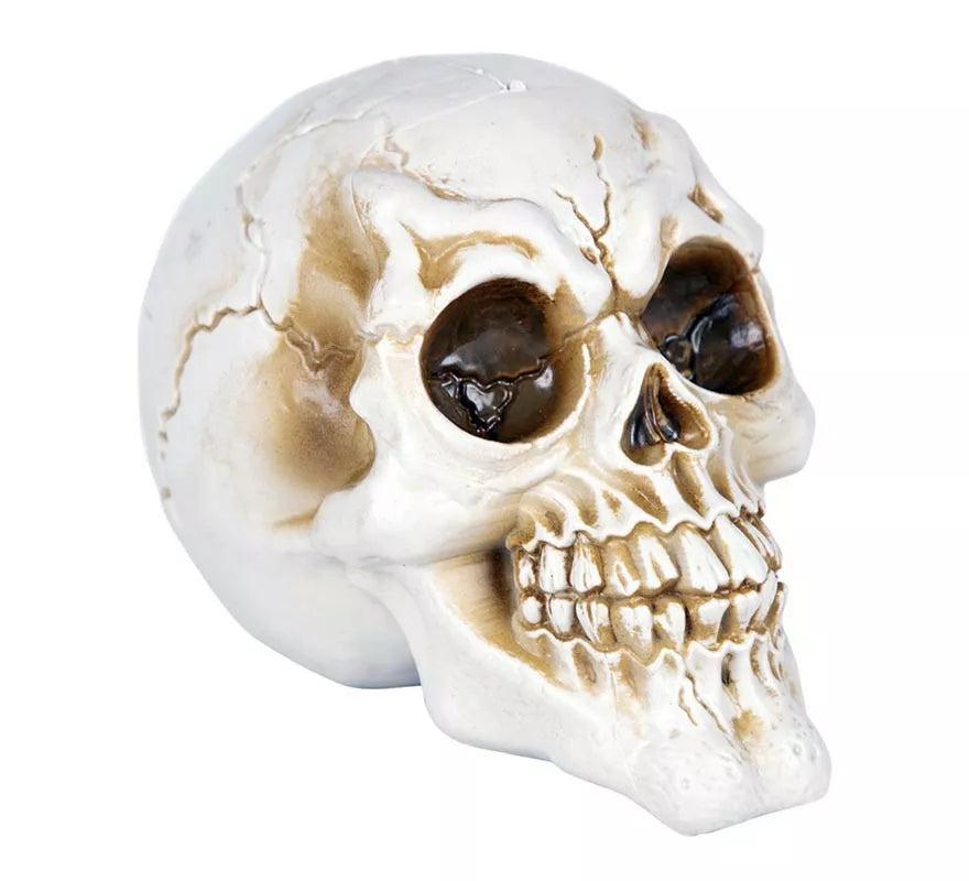 Translation missing: de.Calavera Desgastada feliz de 11,50x17x12,50 cm
