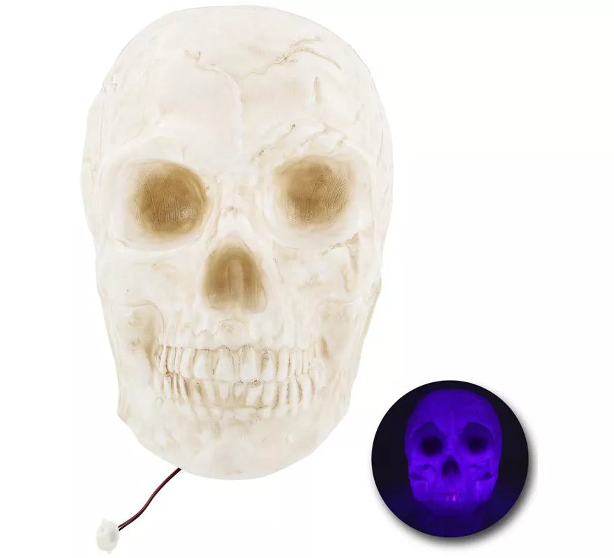 Translation missing: de.Calavera Grande con Luz de 25x30x30 cm