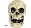 Calavera Parlante con Luz, Sonido y Movimiento de 30 cm