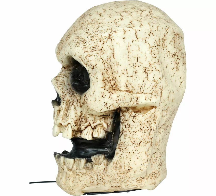 Translation missing: de.Calavera Parlante con Luz, Sonido y Movimiento de 30 cm