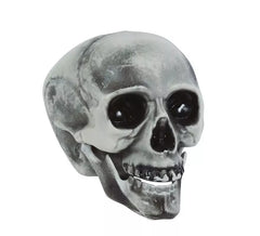 PVC Schädel 20 cm