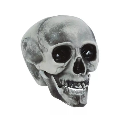 Calavera PVC 20 cms