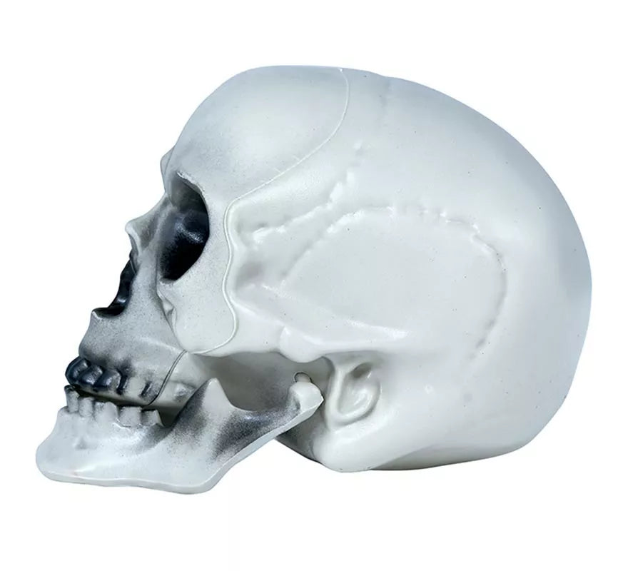 Translation missing: de.Calavera PVC 20 cms