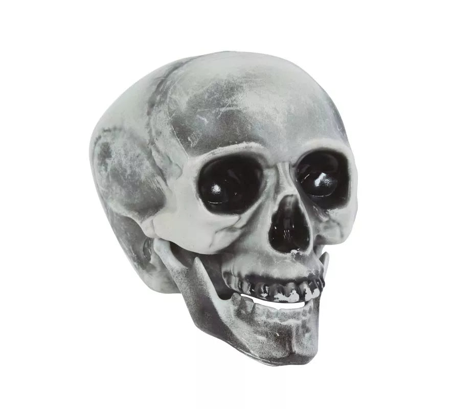Translation missing: de.Calavera PVC 20 cms
