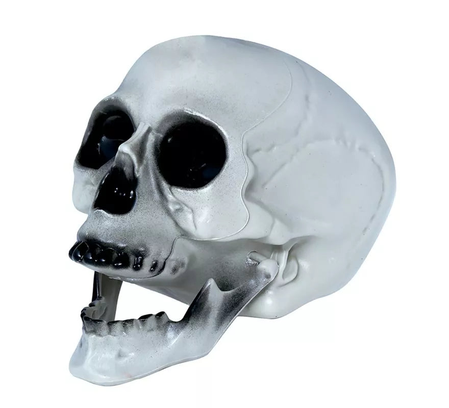 Translation missing: de.Calavera PVC 20 cms